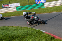 PJ-Motorsport-Photography-2018;enduro-digital-images;event-digital-images;eventdigitalimages;mallory-park;mallory-park-photographs;mallory-park-trackday;mallory-park-trackday-photographs;no-limits-trackdays;peter-wileman-photography;racing-digital-images;trackday-digital-images;trackday-photos
